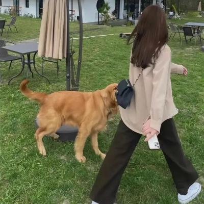 人皮脸